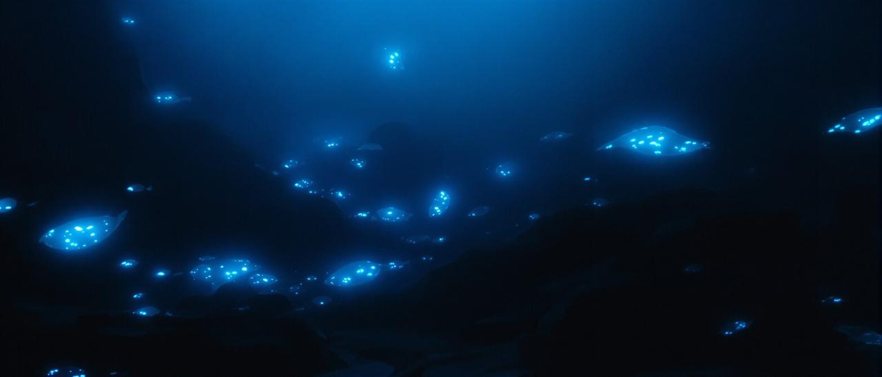 深海探险：马里亚纳海沟之谜