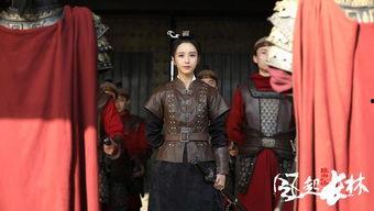 一父当关万夫莫敌,英勇壮志铸就传奇